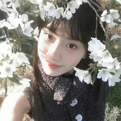 兰闺飞尸